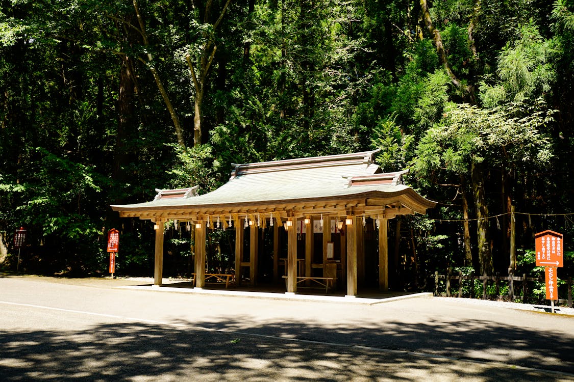 森に佇む神社