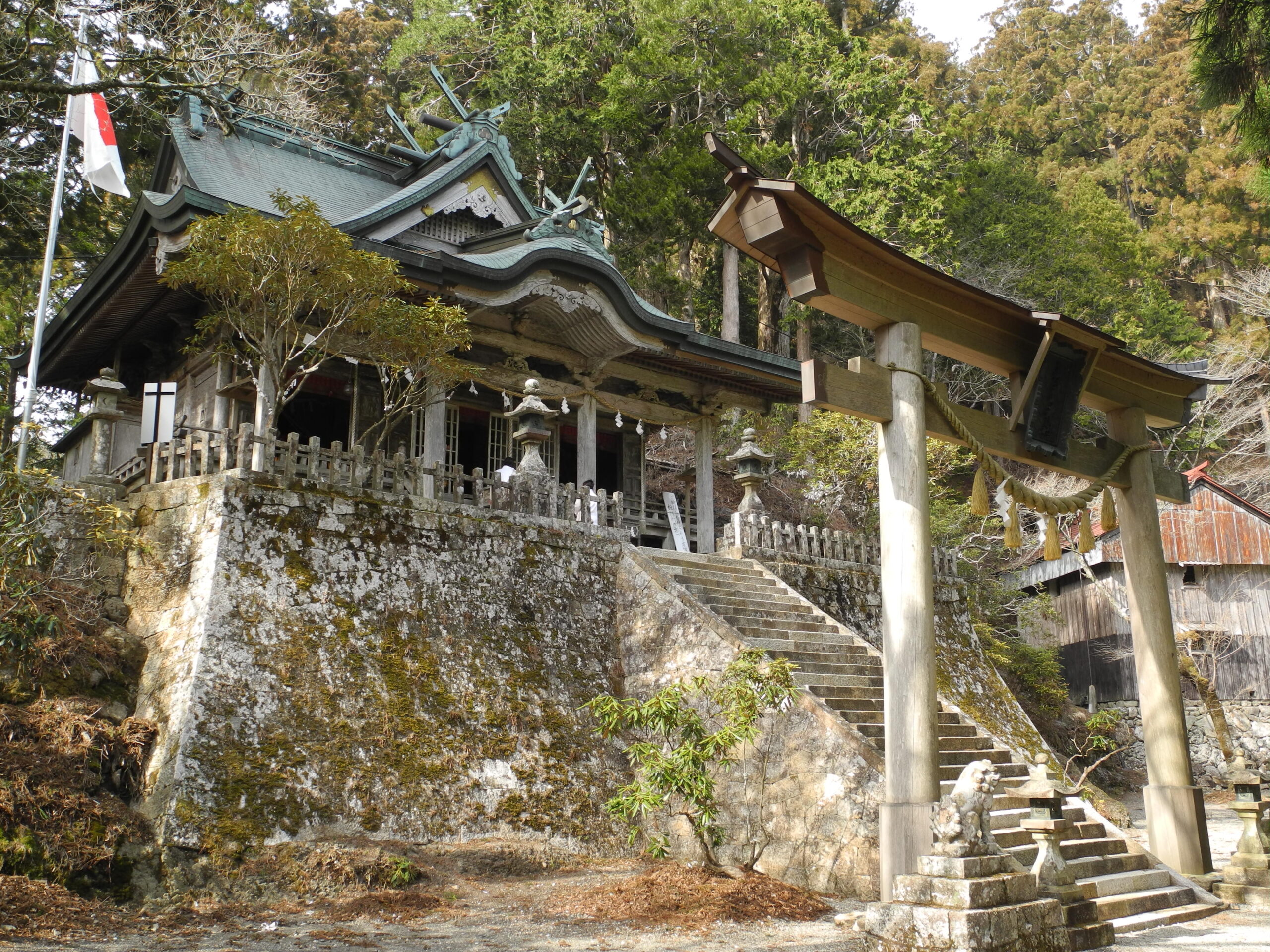 玉置神社の本殿と鳥居