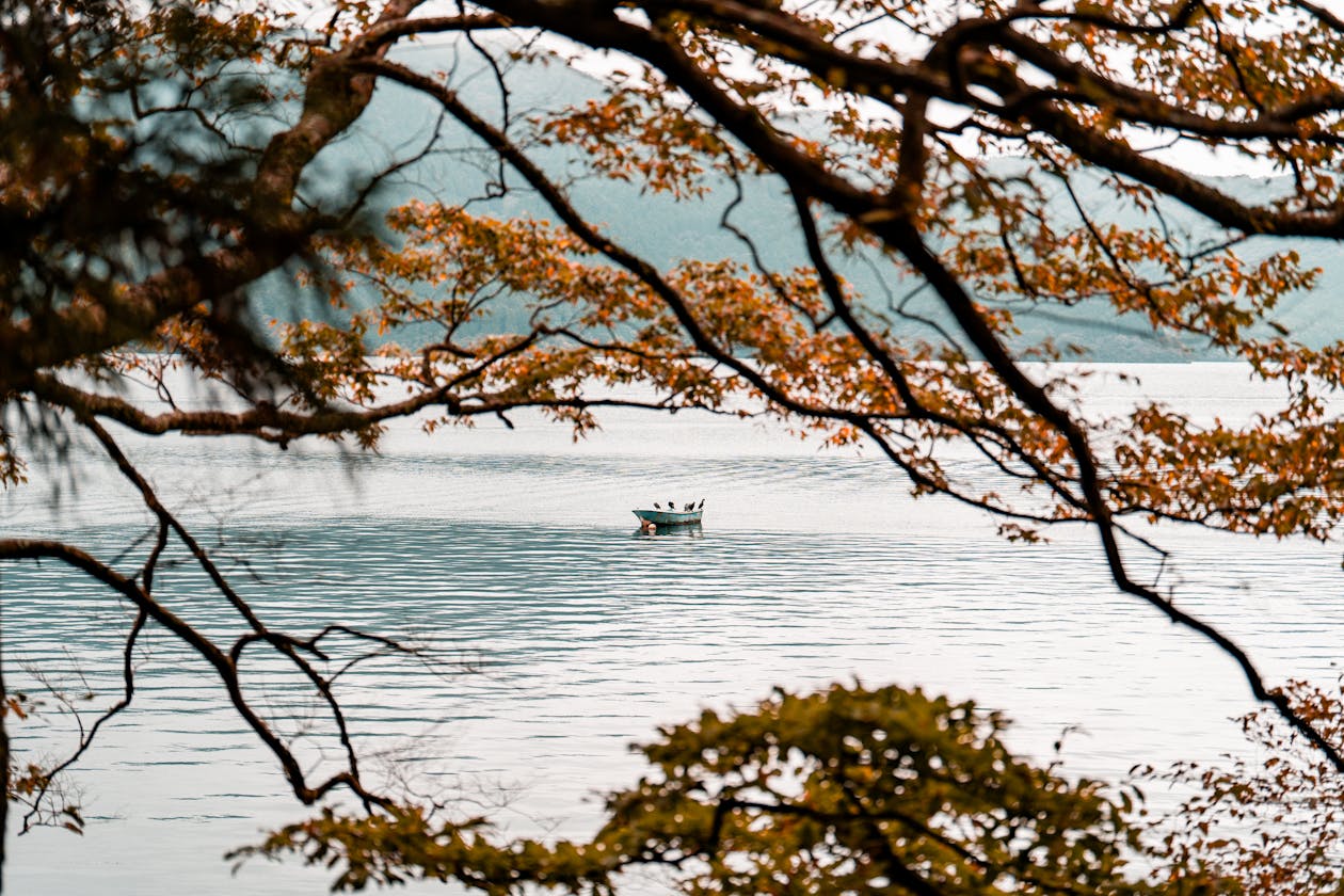 紅葉の枝越しに見る秋の湖